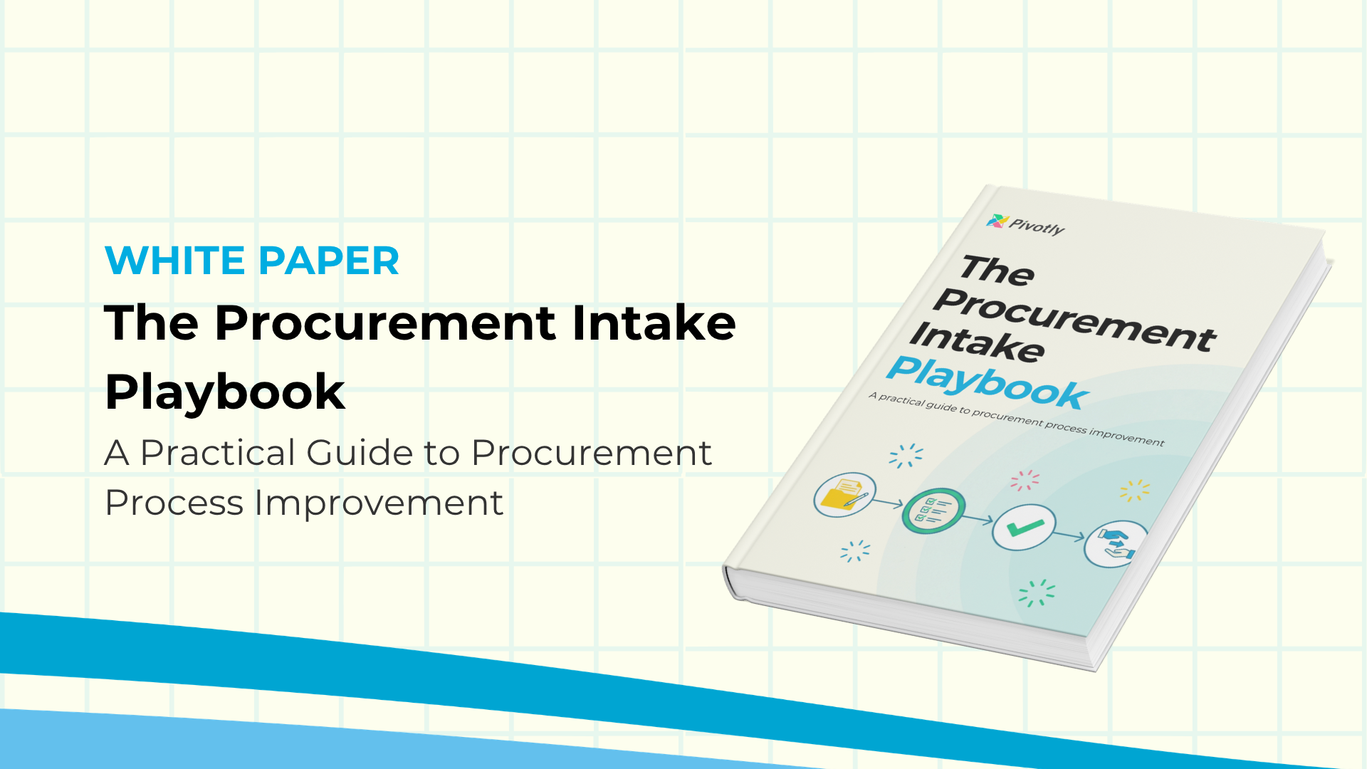 Procurement Audit